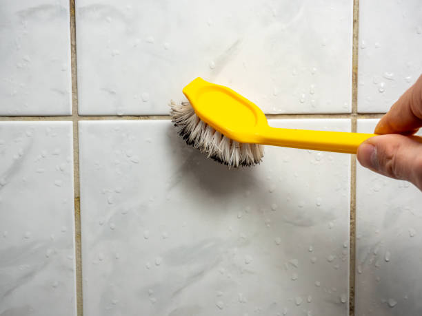 Best Kitchen Mold Remediation in Selma, CA